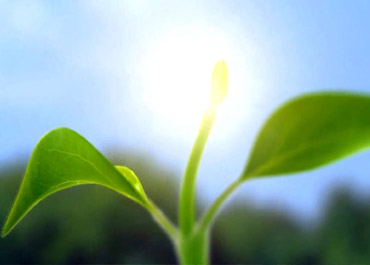 美景化學(xué)與中科院能源所相關(guān)專(zhuān)家商談酶化學(xué)以及生物酶在農(nóng)藥合成中的應(yīng)用前景